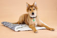 Barke & Howell Knitted Pet Bed- 70x90cm | Dog bed