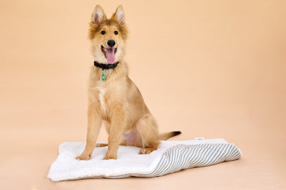 Barke & Howell Knitted Pet Bed- 70x90cm | Dog bed