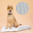 Barke & Howell Knitted Pet Bed- 70x90cm | Dog bed