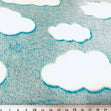 Printed Coral Fleece Fabric, Light Blue/Seafoam Clouds- 155cm Width