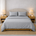 Athena Microfibre Bed Sheet Set - Queen | Light Silver | Super Soft & Easy Care