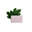 Rose and Goat Milk Soap- 248g