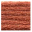 Sullivans Tapestry Wool, Anc/8258 Dmc/7124- 8m