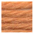 Sullivans Tapestry Wool, Anc/9508 Dmc/7144- 8m