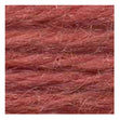 Sullivans Tapestry Wool, Anc/8328 Dmc/7165- 8m