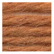 Sullivans Tapestry Wool, Anc/9446 Dmc/7174- 8m