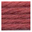 Sullivans Tapestry Wool, Anc/8346 Dmc/7194- 8m
