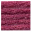 Sullivans Tapestry Wool, Anc/8418 Dmc/7205- 8m