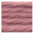 Sullivans Tapestry Wool, Anc/8504 Dmc/7213- 8m