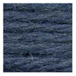 Sullivans Tapestry Wool, Anc/8738 Dmc/7295- 8m