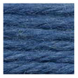Sullivans Tapestry Wool, Anc/8790 Dmc/7304- 8m