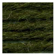 Sullivans Tapestry Wool, Anc/9204 Dmc/7367- 8m