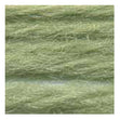 Sullivans Tapestry Wool, Anc/9014 Dmc/7369- 8m