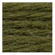 Sullivans Tapestry Wool, Anc/9176 Dmc/7376- 8m