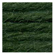 Sullivans Tapestry Wool, Anc/9008 Dmc/7385- 8m