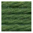 Sullivans Tapestry Wool, Anc/9006 Dmc/7386- 8m