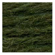 Sullivans Tapestry Wool, Anc/9178 Dmc/7427- 8m