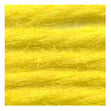 Sullivans Tapestry Wool, Anc/8116 Dmc/7434- 8m