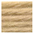 Sullivans Tapestry Wool, Anc/9442 Dmc/7453- 8m