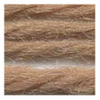 Sullivans Tapestry Wool, Anc/9488 Dmc/7463- 8m
