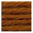 Sullivans Tapestry Wool, Anc/8062 Dmc/7508- 8m