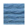 Sullivans Tapestry Wool, Anc/8916 Dmc/7597- 8m