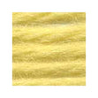 Sullivans Tapestry Wool, Anc/8012 Dmc/7745- 8m