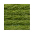 Sullivans Tapestry Wool, Anc/9100 Dmc/7769- 8m