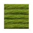 Sullivans Tapestry Wool, Anc/9164 Dmc/7770- 8m