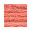 Sullivans Tapestry Wool, Anc/8256 Dmc/7852- 8m