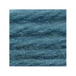 Sullivans Tapestry Wool, Anc/8921 Dmc/7861- 8m