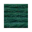 Sullivans Tapestry Wool, Anc/8972 Dmc/7943- 8m