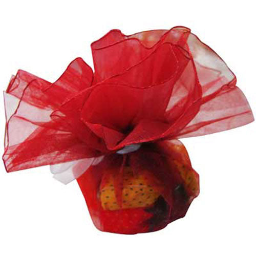 Sullivans Bomboniere Organza, Red with Frilled Edge 24cm- 12pk