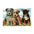 DMC Country Threads Kit, Work Dogs in Training- 30x46cm