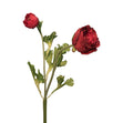 Flower Bunch Ranunculus, Red- 58cm
