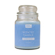 Formr Scented Candle, Harbour Mist- 567g