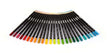 Crayola Signature Blend and Shade Colored Pencils- 24pk