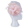 Fascinator with Goose Feather, Net and Sinamay Accent, Pink Mesh