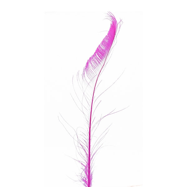 Peacock Side Feather, Fuchsia- 25-30cm