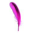Duck Feather, Pink & Black- 13cm