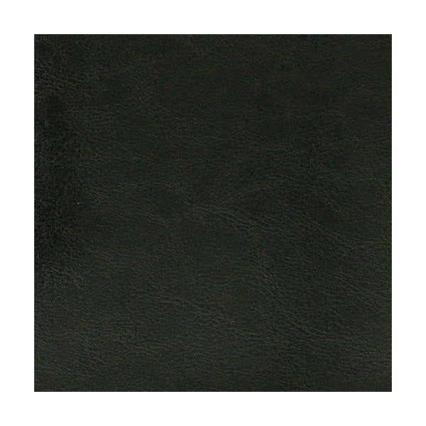 Classic Superior Leather Album, Black- 12x12in