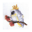 DMC Cross Stitch Kit - Baby Cockatoo