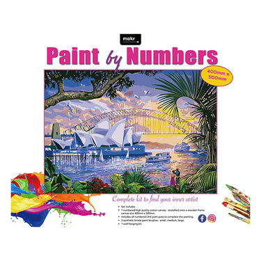 DIY Paint by Numbers for Adults Beginner, Adult Paint by Number Kits on  Canvas Number Painting for Adults Star Wars Acrylic Painting Kit