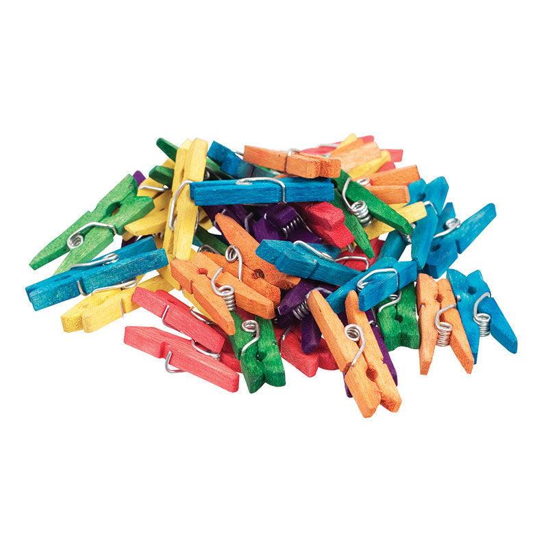 Arbee Mini Pegs With Spring, Coloured- 45pk