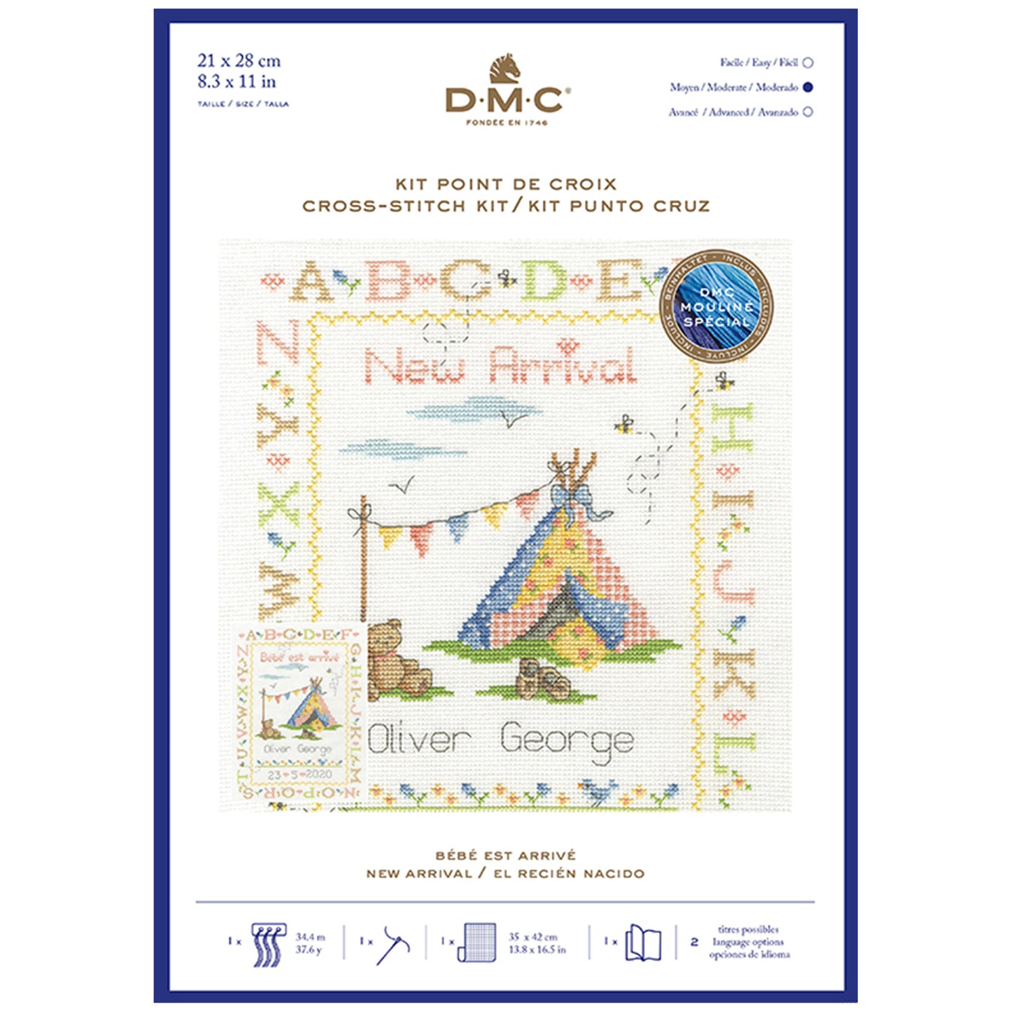 DMC Cross Stitch Kit - New Arrival