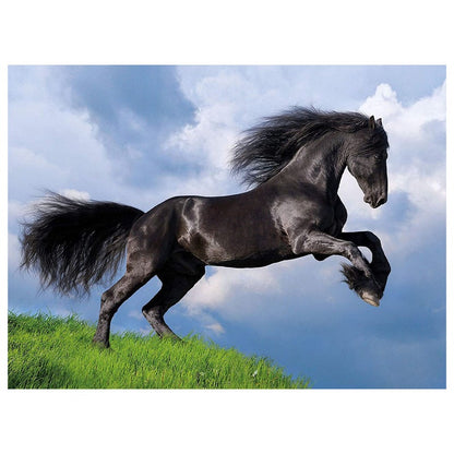 500-Piece Clementoni Jigsaw Puzzle, Fresian Black Horse