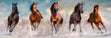1000-Piece Clementoni Jigsaw Puzzle, Panorama - Horses