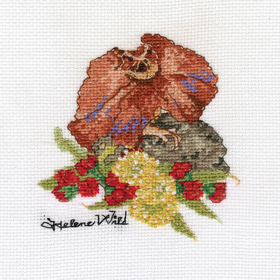 Helene Wild Cross Stitch Kit, Frill Neck Lizard- 12x12cm