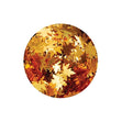 Nuvo Pure Sheen Glitter, Harvest Moon- 4pk