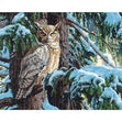 Paint Works Paint By Number Kit, Great Horned Owl- 20"x16"